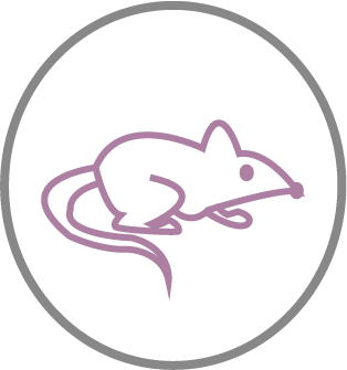 png12